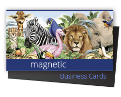 Magnetic Business Cards